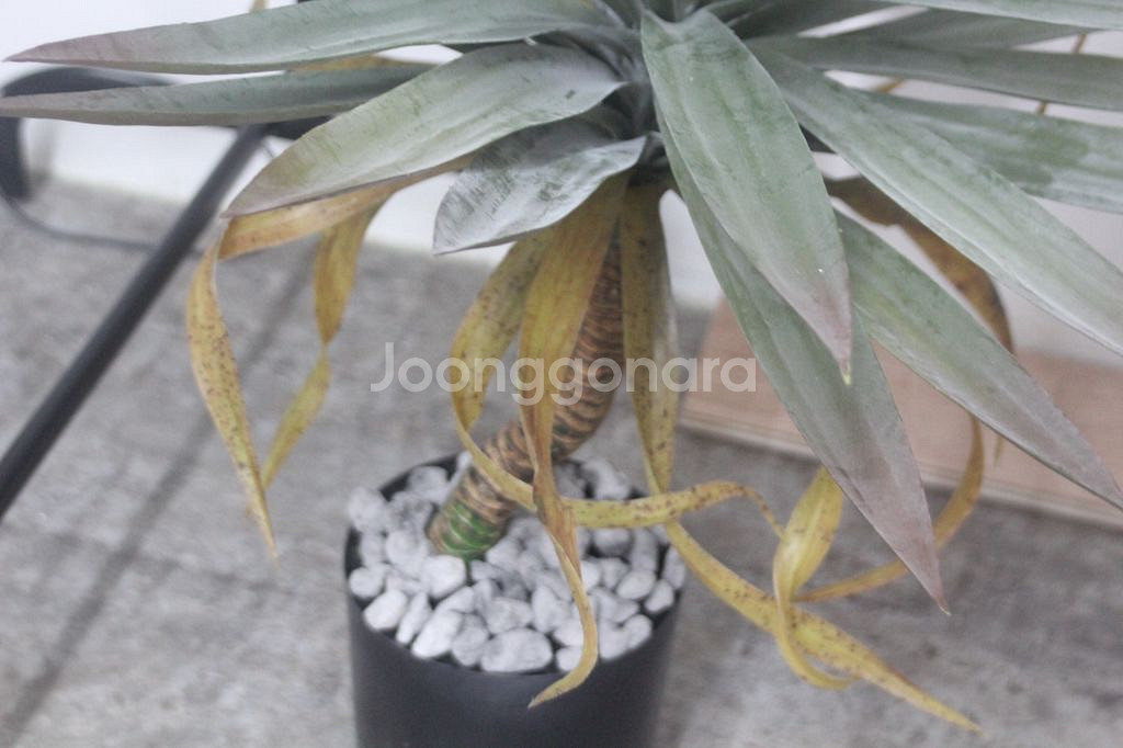 인테리어 조화 디테일 S급 싸게 넘겨요--4