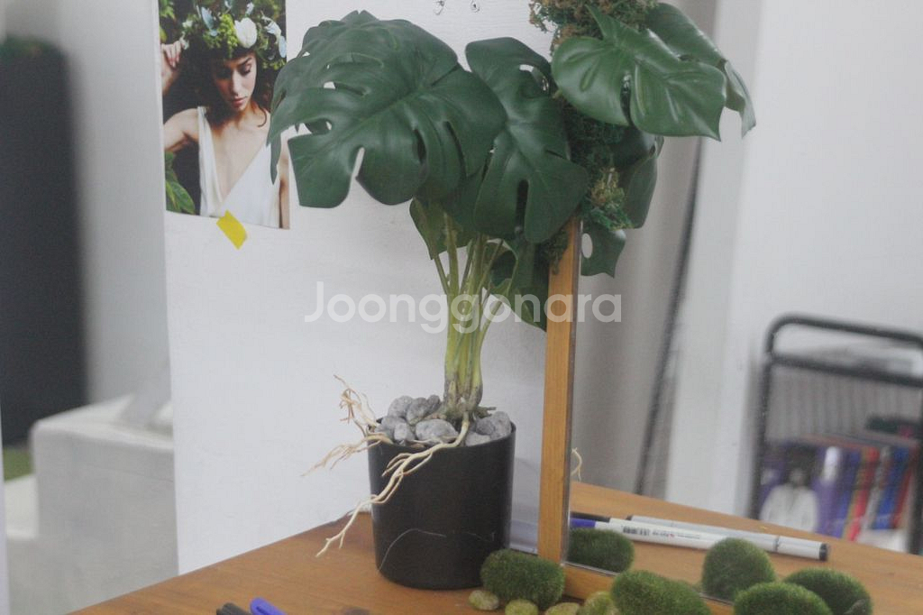 인테리어 조화 디테일 S급 싸게 넘겨요--2