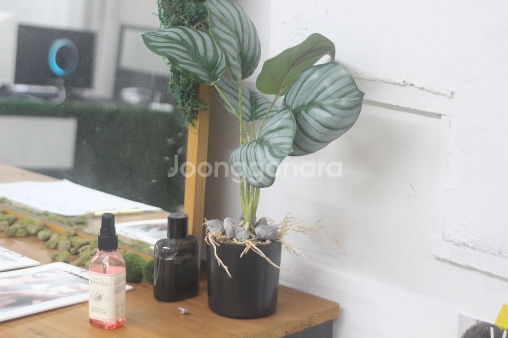 인테리어 조화 디테일 S급 싸게 넘겨요--8