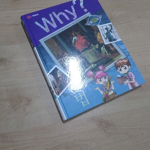 why책