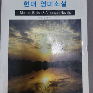 김일구 영문서적 영미문학개관 현대영미소설