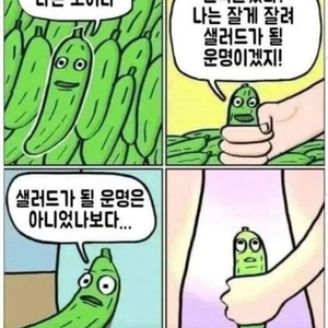 스팀 월렛