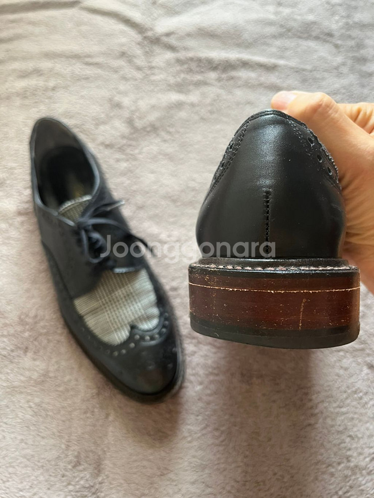 (250-255)로베르 끌레제리 옥스포드 로퍼--3