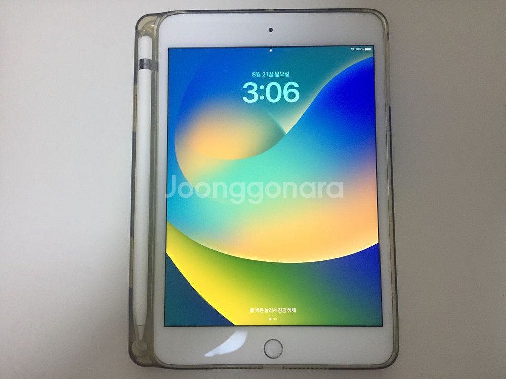 아이패드미니5 64 셀룰러 애플펜슬등 일괄--2
