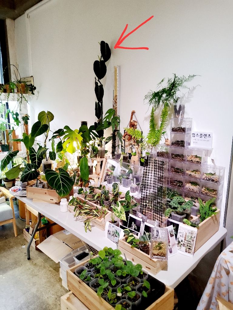 프로파일