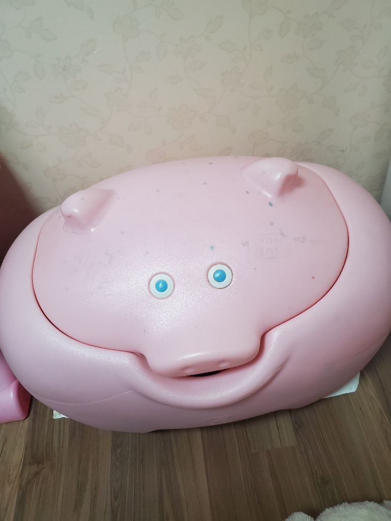 스텝2 돼지 정리함