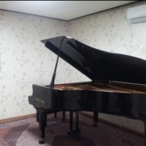 삼익 그랜드 185