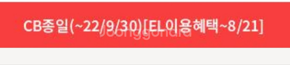 캐리비안베이 종일--0