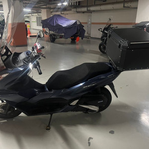 pcx125 21년