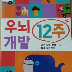 만4세부터 우뇌개발12주 2권