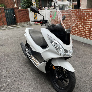 서울) 혼다 PCX125 18년형 흰색 2018