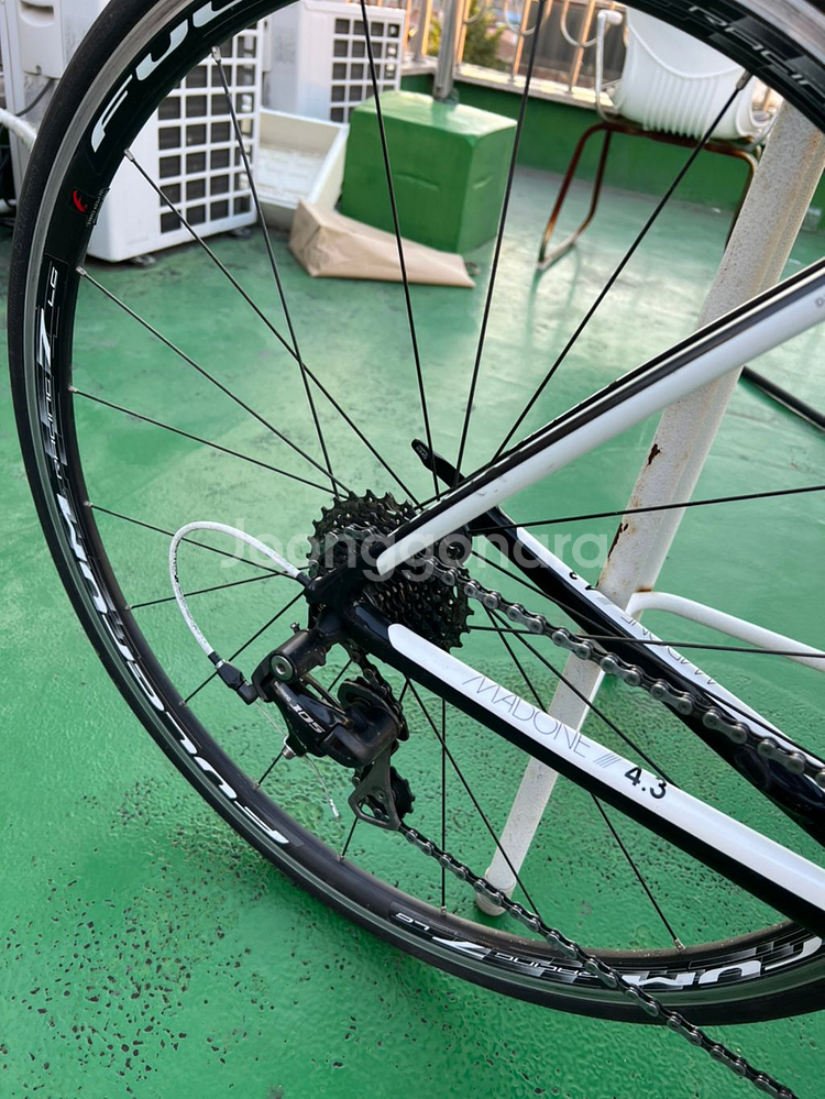 트렉마돈 4.3 풀카본 105등급--3