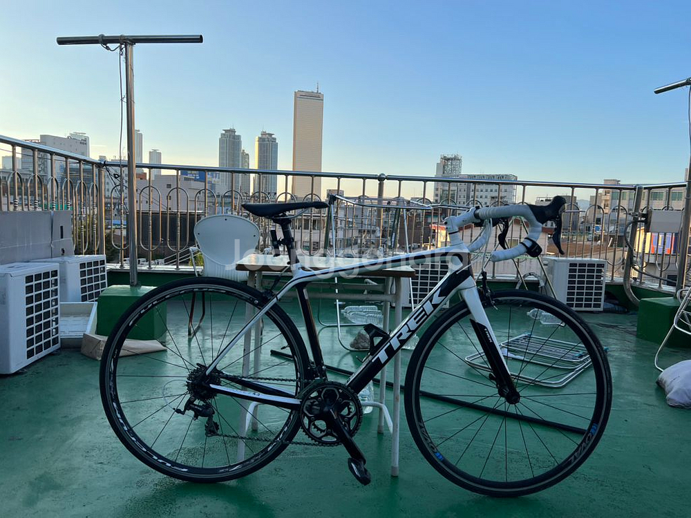 트렉마돈 4.3 풀카본 105등급--0