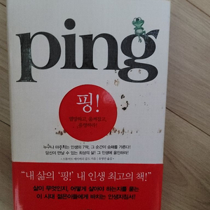 책 핑(ping)