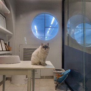 skt 데이터 리필쿠폰 판매