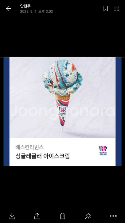 배스킨라빈스싱글레귤러--0