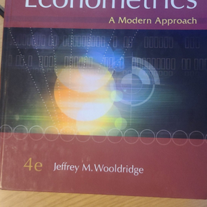 Introductory Econometrica