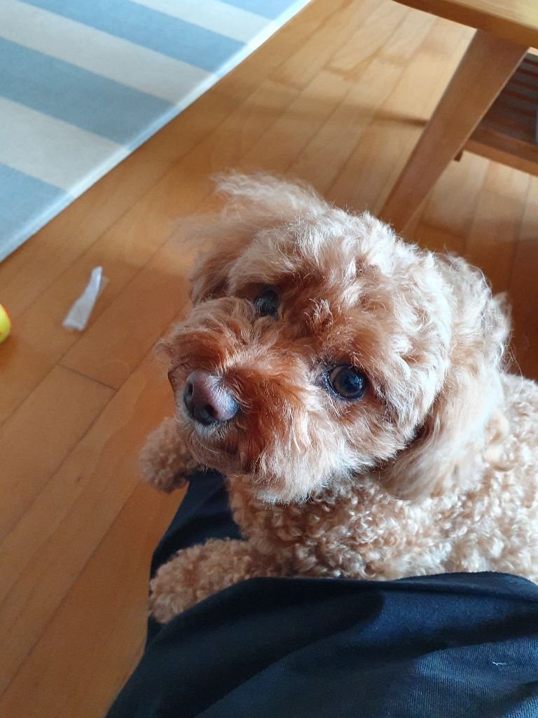 프로필 이미지