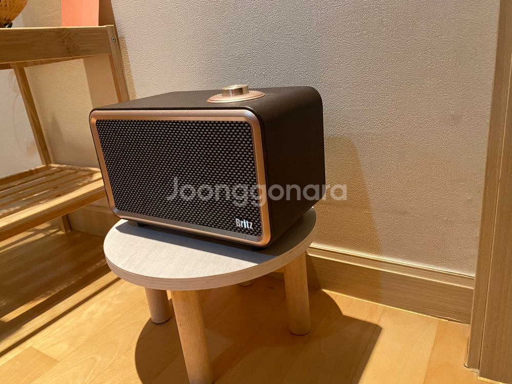 브리츠 BA-RS100--2