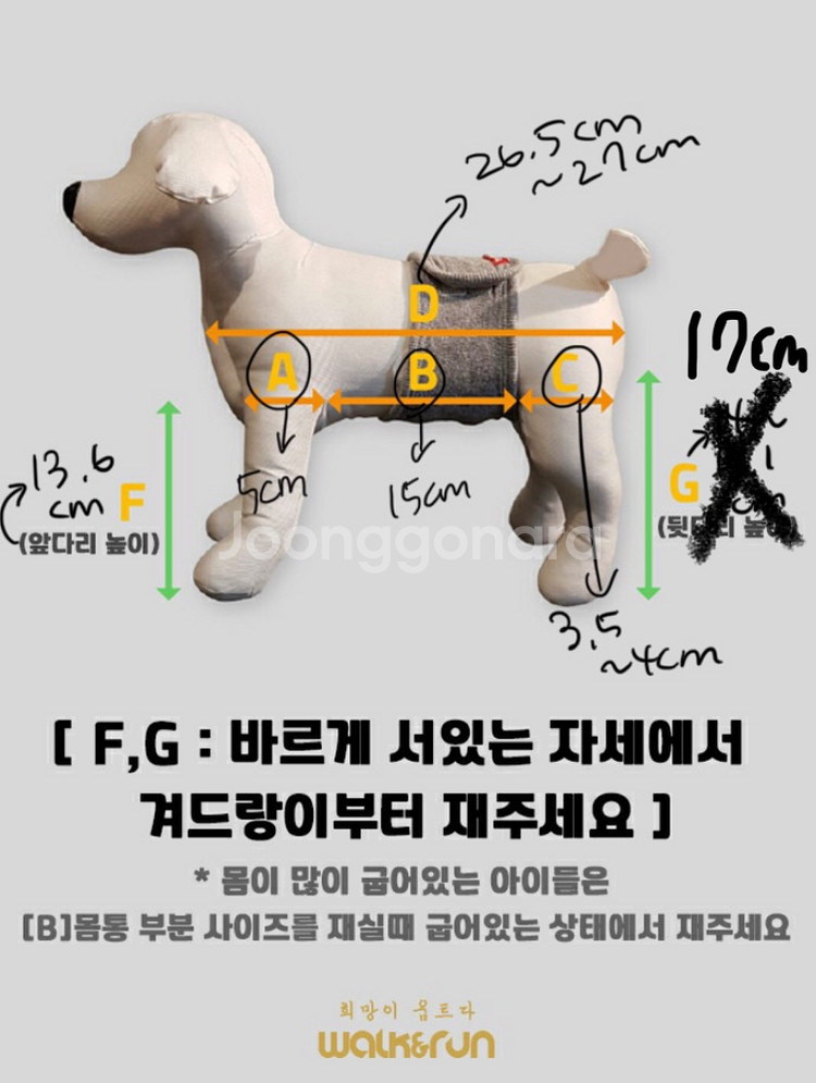 워크앤런 강아지 휠체어 보행기 찾은날 feat 노견 십자인대 파열 (상세하고 깁니다)