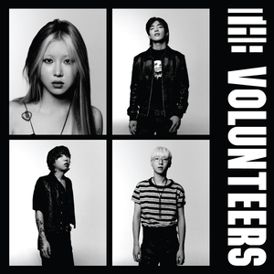 the volunteers lp 미개봉 판매합니다