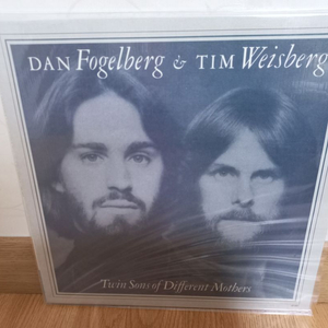 댄 포겔버그(dan fogelberg) lp(택포)