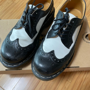 닥터마틴 WINGTIP SHOE WHITE윙 팁