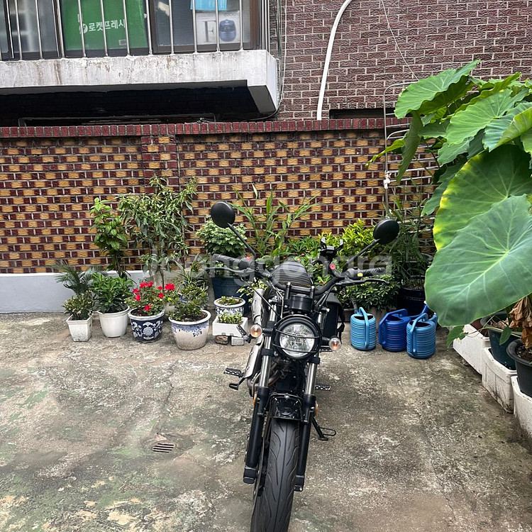 부캐너125 21년식 유광블랙--1