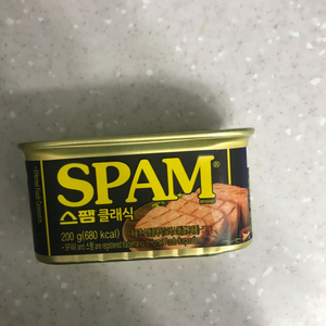 스팸