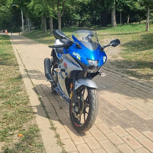 (대구) GSX-R125 ABS 100주년 스페셜