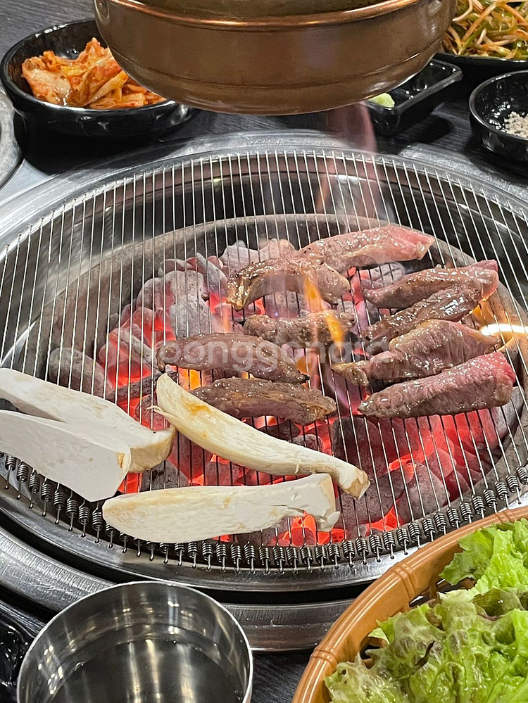 고기--0