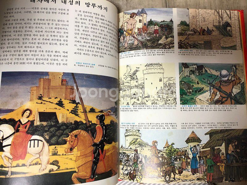 컬러일러스트레이션 세계생활사 동아출판사 전권23권--4