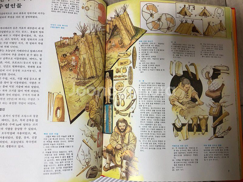컬러일러스트레이션 세계생활사 동아출판사 전권23권--2