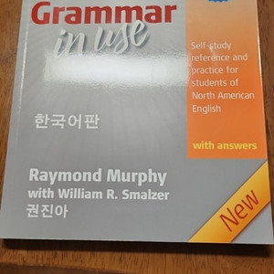 basic grammar in use 한국어판