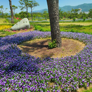 켄싱턴 설악밸리