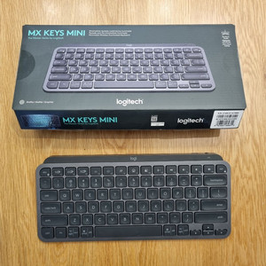 mx keys mini