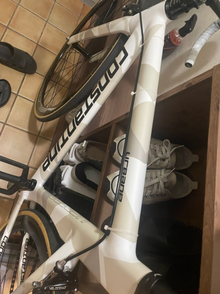 픽시 콘스탄틴어베인2022 56사이즈--4