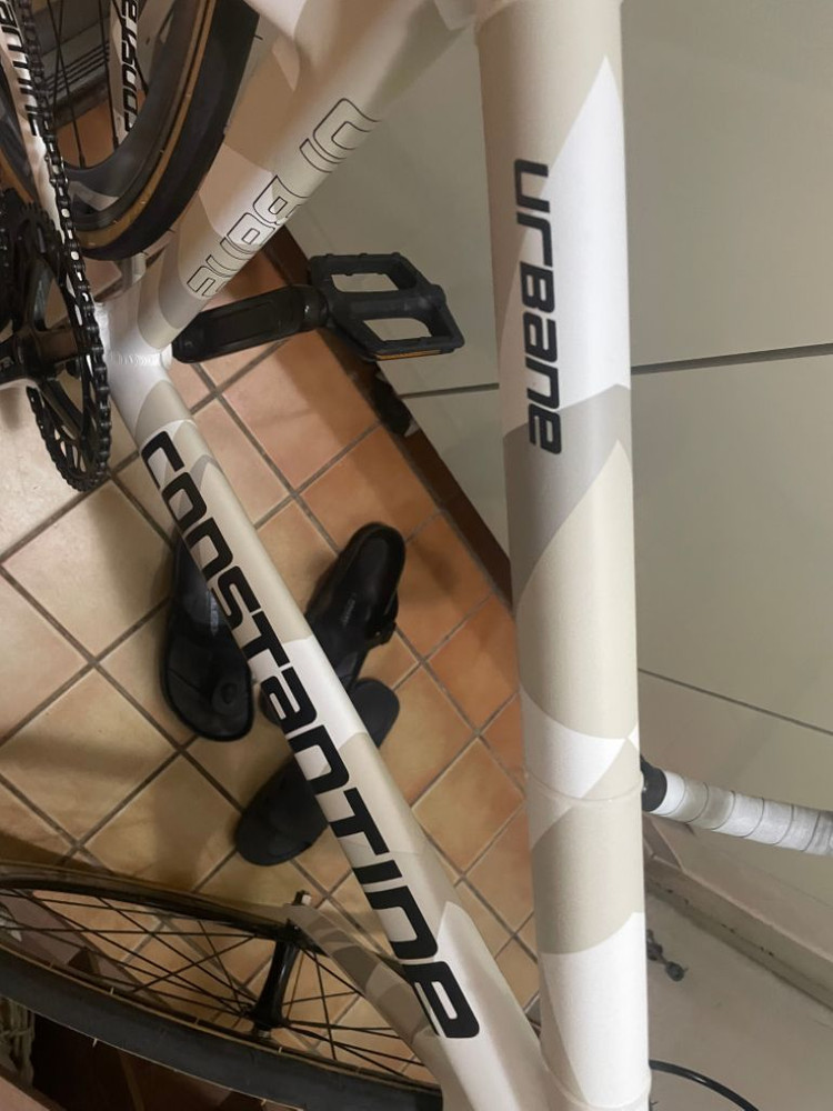 픽시 콘스탄틴어베인2022 56사이즈--6