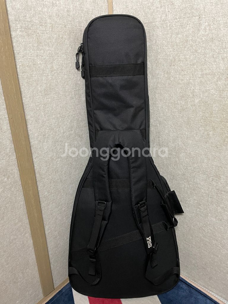 카브로니타 텔레캐스터 크래프츠 하우스 커스텀--6