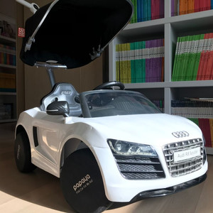 Audi R8 푸시카 폴세트