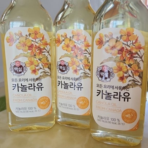 카놀라유