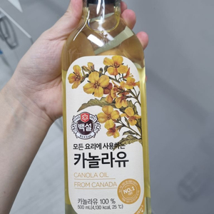 카놀라유