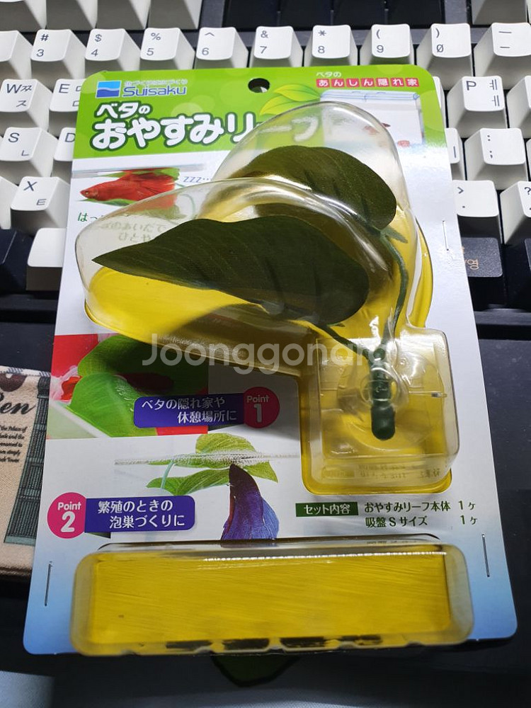 수이사쿠 베타 침대--0