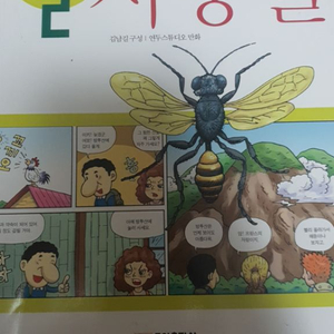 만화 파브르곤충기 사냥벌