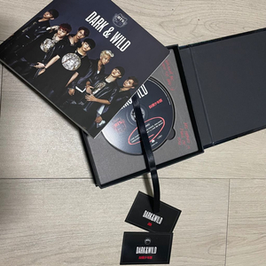 방탄소년단 DARK&WILD