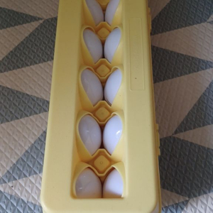 에그매칭 달걀맞추기 아기교구 장난감