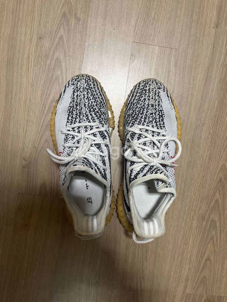 이지부스트 지브라--1