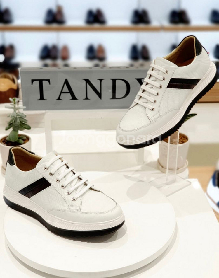 탠디 남성 스니커즈 265[실착1회 박스 구성품 있어요--0