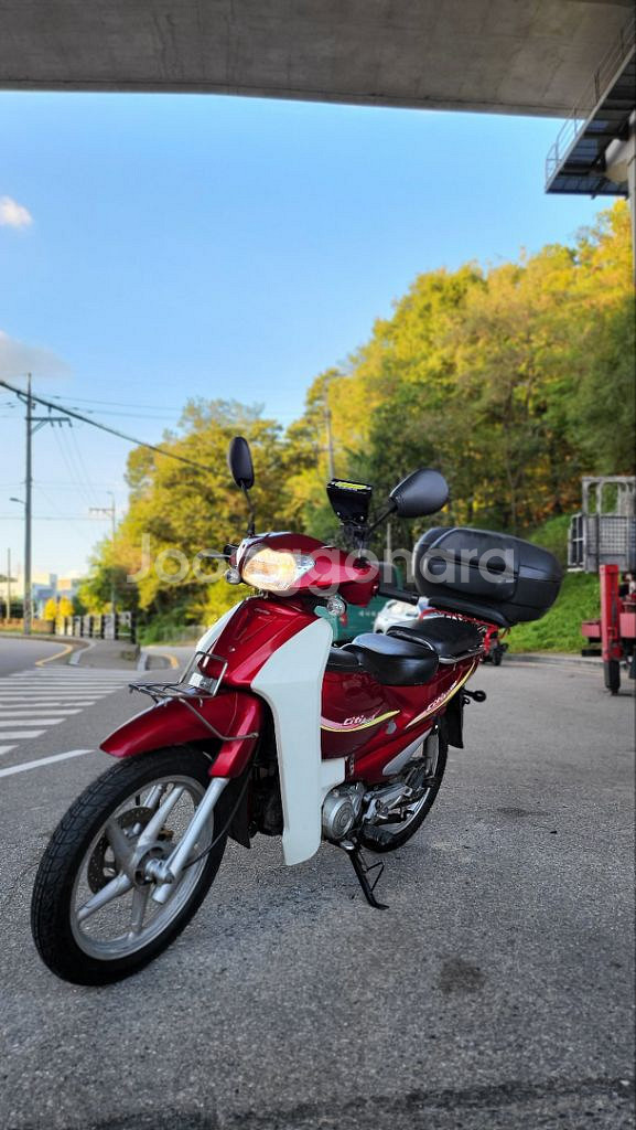 시티에이스100 (2019)--2