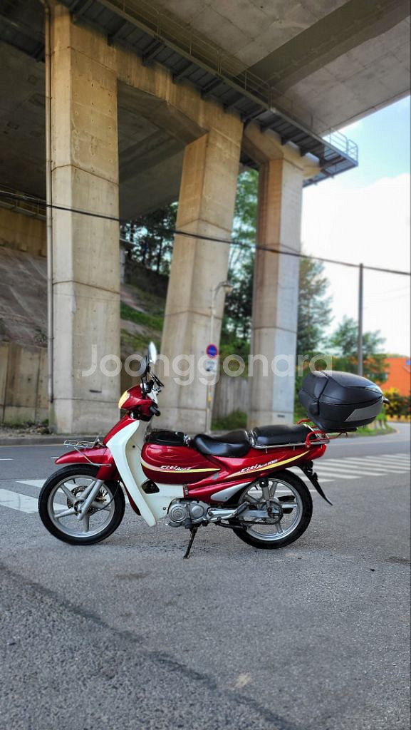 시티에이스100 (2019)--4